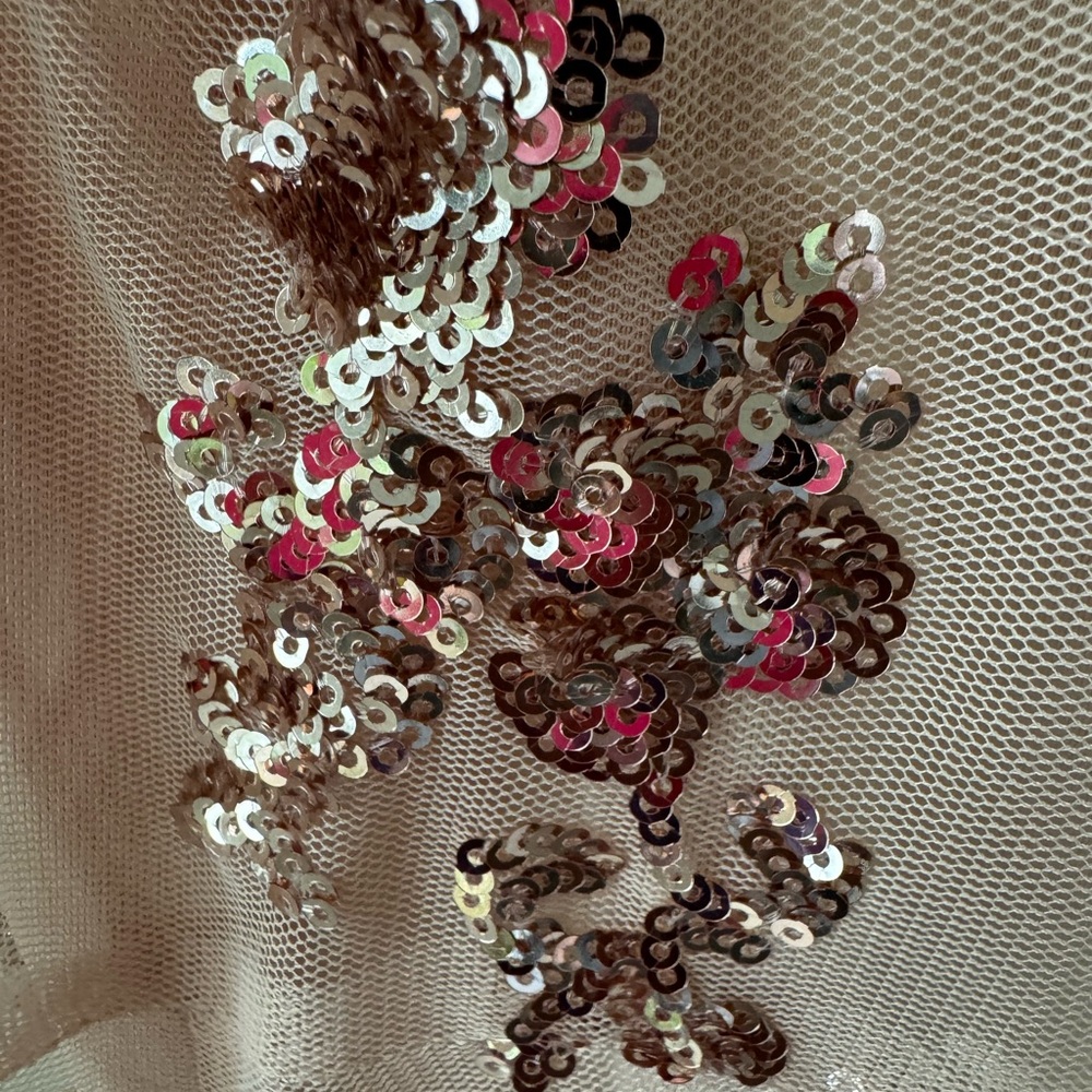 Sheer sequin dress. Cream nude with bikini unitard liner under size 8 rose gold - Picture 3 of 5